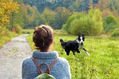 Dog-and-person-walking